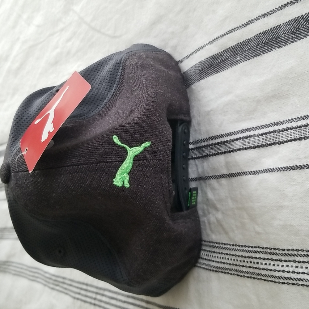 Puma - Picture 2 of 6